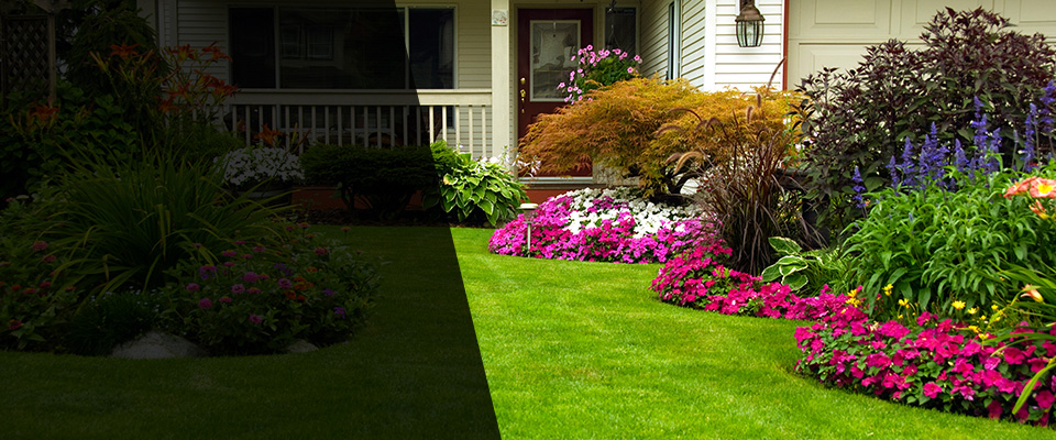 Martin Landscapers
