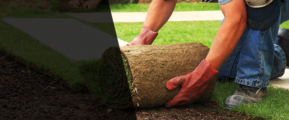 Martin Landscapers
